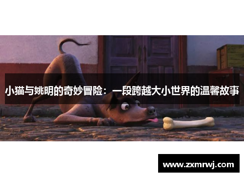 小猫与姚明的奇妙冒险：一段跨越大小世界的温馨故事